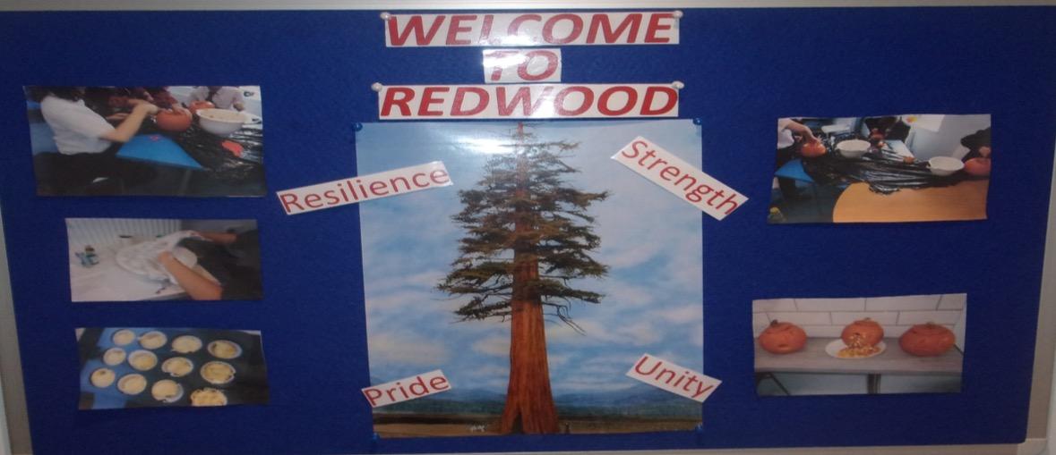 Redwood